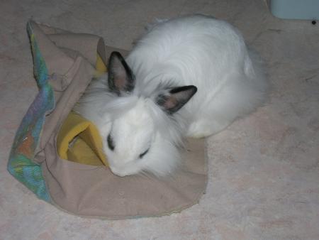 Et oui elle a bien chang�e 